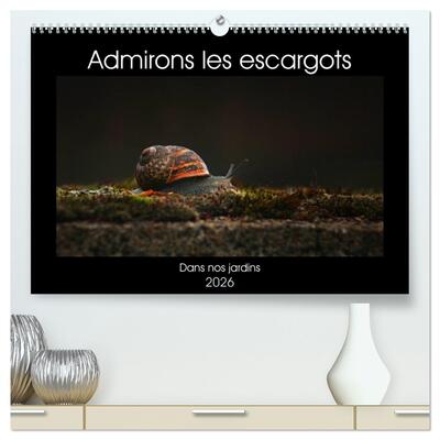 Picture of Admirons les escargots  (Calendrier mural 2026 DIN A2 vertical) calendrier de bureau