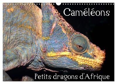 Picture of Caméléons - Petits dragons d'Afrique. (Calendrier mural 2026 DIN A3 vertical), CALVENDO calendrier mensuel