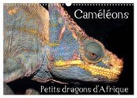 Picture of Caméléons - Petits dragons d'Afrique. (Calendrier mural 2026 DIN A3 vertical), CALVENDO calendrier mensuel