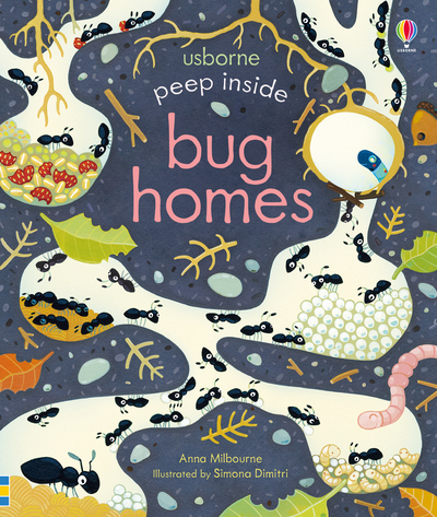 Image de Peep Inside Bug Homes