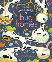 Image de Peep Inside Bug Homes