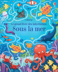 Image de Sous la mer - Le grand livre des labyrinthes