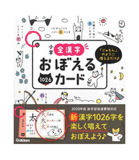 Image de FLASHCARDS KANJIS - JAPONAIS NIVEAU ÉCOLE PRIMAIRE (1026 cartes/kanji)