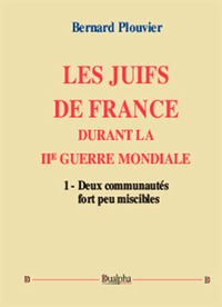 Image de Les Juifs de France durant la IIe Guerre mondiale (volume 1)