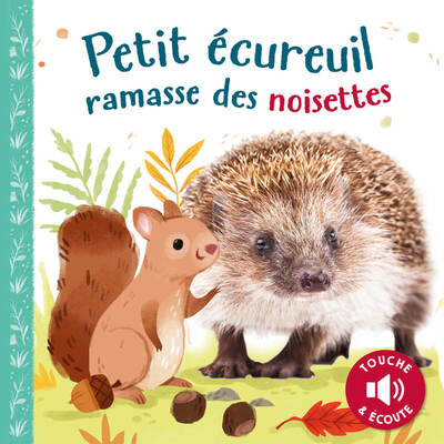 Picture of PETIT ÉCUREUIL RAMASSE DES NOISETTES