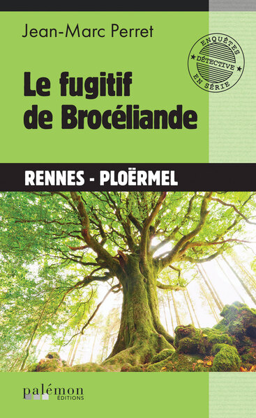 Image de Le fugitif de Brocéliande