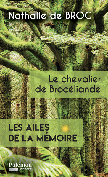 Picture of Le chevalier de Brocéliande