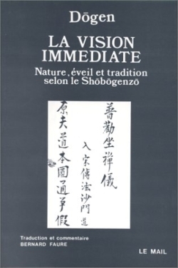 Picture of La Vision immédiate