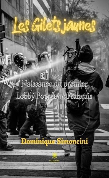 Picture of Les Gilets jaunes