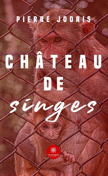 Picture of Château de singes