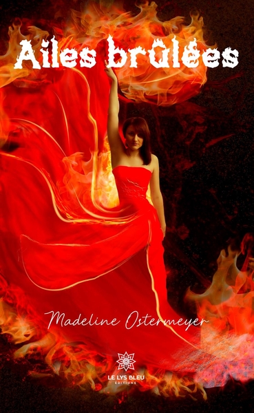 Picture of Ailes brûlées