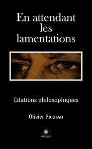 Picture of En attendant les lamentations