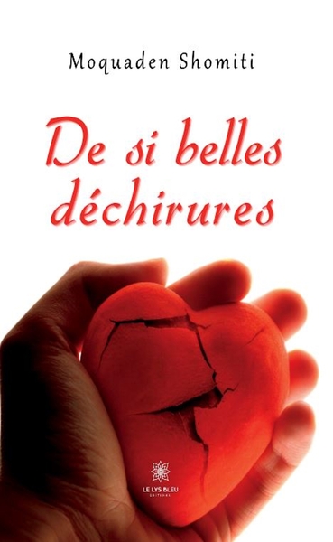 Image de De si belles déchirures