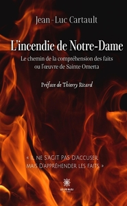 Picture of L'incendie de Notre-Dame