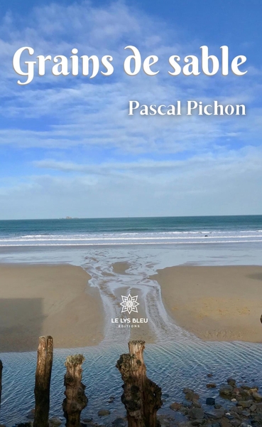 Picture of Grains de sable