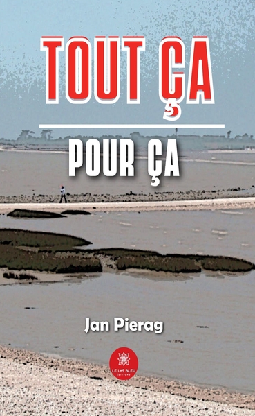 Picture of Tout ça pour ça
