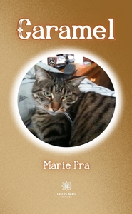 Picture of Caramel