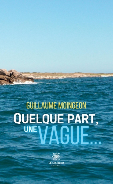 Picture of Quelque part,une vague...