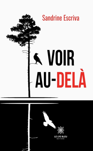 Image de Voir au-delà