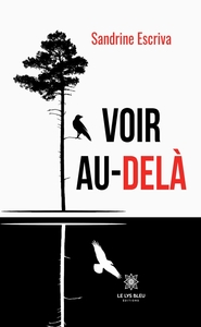 Image de Voir au-delà