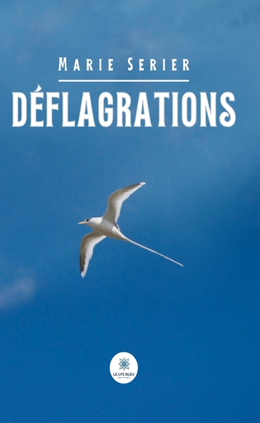 Picture of Déflagrations