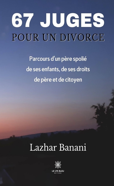 Picture of 67 juges pour un divorce