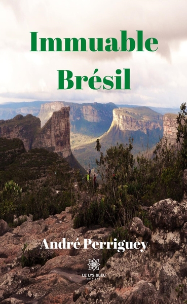Picture of Immuable Brésil