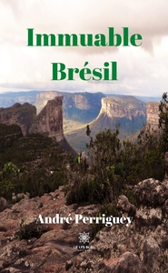 Picture of Immuable Brésil