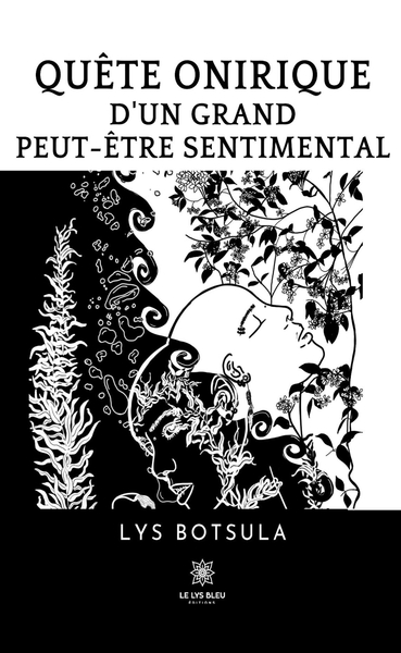 Picture of Quête onirique d'un grand peut-être sentimental