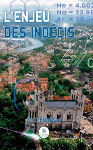 Picture of L'enjeu des indécis