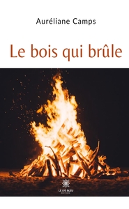 Image de Le bois qui brûle
