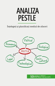 Picture of Analiza PESTLE