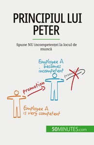 Image de Principiul lui Peter