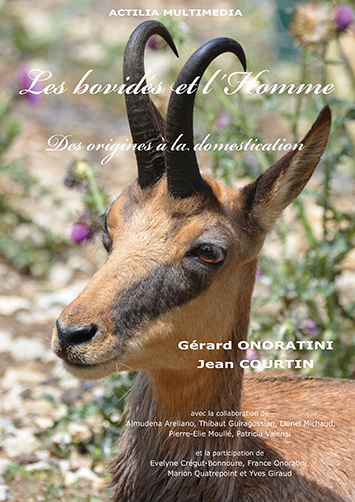 Image de Les bovidés et l'Homme