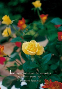 Image de PACK SAISONS CP353 10EX