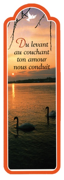 Image de PACK SIGNETS DECOUPES SD48 10EX