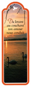 Image de PACK SIGNETS DECOUPES SD48 10EX