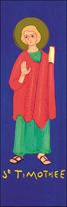 Picture of TIMOTHEE SA136 10EX