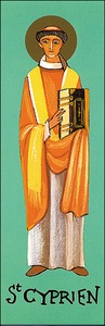 Image de CYPRIEN SA153 10EX