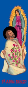 Picture of JUAN DIEGO SA302 10EX