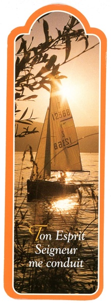 Picture of PACK SIGNETS DECOUPES SD29 10EX