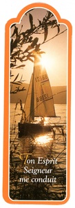 Picture of PACK SIGNETS DECOUPES SD29 10EX