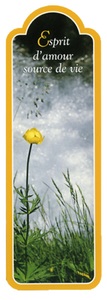 Image de PACK SIGNETS DECOUPES SD30 10EX