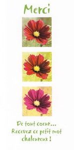 Image de PACK SOUHAITS CMT06 5EX MERCI DE TOUT CoeUR