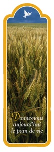 Image de PACK SIGNETS DECOUPES SD32 10EX