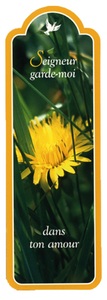 Image de PACK SIGNETS DECOUPES SD47 10EX