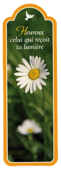 Image de PACK SIGNETS DECOUPES SD37 10EX