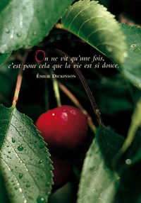 Image de PACK SAISONS CP466 10EX