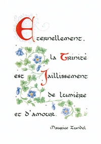 Image de PACK ENLUMINURE AN178 10EX