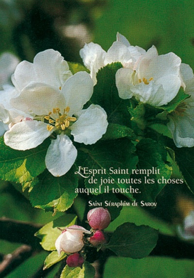 Image de PACK LUMIERE CL28 10EX